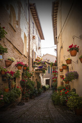 Wall Mural - Floral streets of Spello in Umbria, Italy.