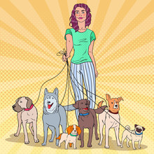 Pop Art Beautiful Woman Walking With Many Dogs Of Different Breeds. Vector Illustration