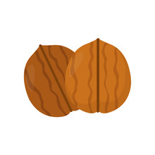 Nuts. Walnut. Vector Flat Modern Style Illustration Icon Design. Isolated On White Background.