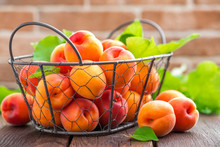 Fresh Apricots With Leaves In Basket On Wooden Table