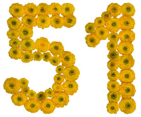 Arabic numeral 51, fifty one, from yellow flowers of buttercup, isolated on white background