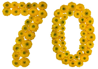 Arabic numeral 70, seventy, seven, from yellow flowers of buttercup, isolated on white background