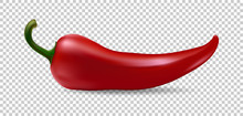 Realistic Red Chilli Pepper Icon Isolated On Transparent Background. Design Template Of Food Closeup In Vector.