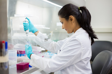 Closeup portrait, scientist pipetting from 50 mL conical tube with blue liquid solution, performing laboratory experiments, isolated lab . Forensics, genetics, microbiology, biochemistry