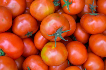 red tomatoes background. Group of tomatoes