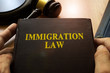 © Vitalii Vodolazskyi - Immigration law on an office table.