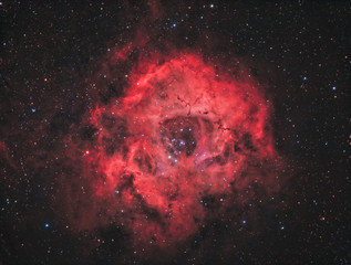 rosette nebula