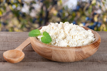 Cottage cheese in a wooden bowl on board with blurred garden background