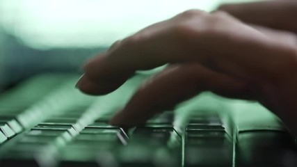 Wall Mural - closeup shot of hands of female hacker typing on computer keyboard