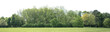 Leinwandbild Motiv High definition Treeline isolated on a white background