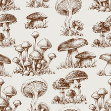 Mushroom Seamless Pattern