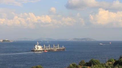 Wall Mural - Cargo ship with a tug boat on route to Marmara Sea.