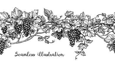 Wall Mural - seamless grapevine sketch