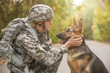 Soldier With Military Working Dog On Blurred Background
