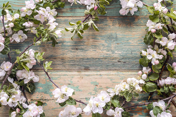  Frame of blossoming apple tree branches on old wooden background. Copy space.
