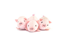 Closeup Three Little Pink Pig Doll Isolated On White Background