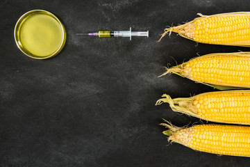 Wall Mural - maize genetic improvement through the syringe