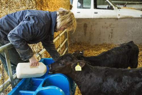 Woman Standing In A Stable Pouring Milk Into A Feeder For Two