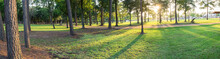 Panorama View An Urban Park In Texas, America With Green Grass Lawn, Huge Pine Trees And Walking/running Trail During Sunset. Composition Of Nature In Panoramic. Park Parking Lot Is In The Distance.