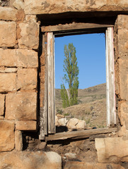 poplar framed