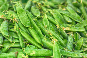 Wall Mural - green pea