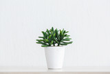 Artificial succulent plant