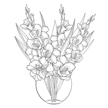 Vector Bouquet With Gladiolus Or Sword Lily In Vase. Flower Bud And Leaf In Black Isolated On White Background. Floral Elements In Contour Style With Gladioli For Summer Design And Coloring Book. 