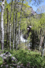 Crystal River Mill, Colorado, USA