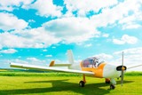 Fototapeta Konie - Small plane at the airport in the field