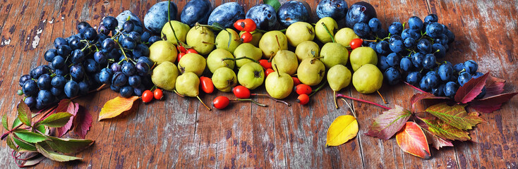 Wall Mural - Autumn harvest of fruit