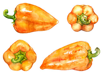 Watercolor orange yellow sweet bell Bulgarian pepper vegetable set isolated