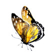 yellow  butterfly,watercolor, isolated on a white