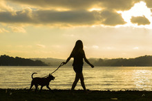 Silhouette Of Woman And Dog Walking At The Beach On Sunset