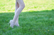 © Maxim - sexy female legs on the grass