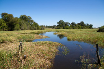 Sticker - nature of the okavango delta in botswana