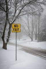 Canvas Print - Winter road during snowfall