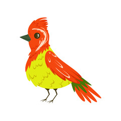 Wall Mural - Bright colorful bird with a tuft vector Illustration