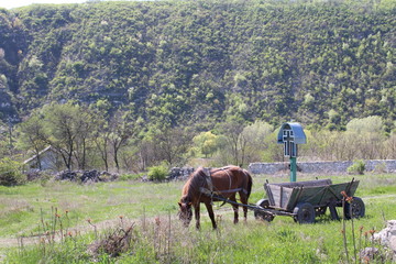 Moldova 