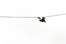 Boots Hanging On Electricty Cable