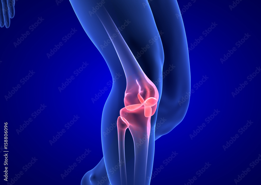 Knee Pain. Blue Human Anatomy Body 3D render on blue background - obrazy, fototapety, plakaty 