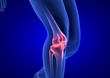 © m3ron - Knee Pain. Blue Human Anatomy Body 3D render on blue background