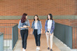 © ChayTee - Three of asian student college are walking and talking on the way to classroom in the campus university, Education lifestyle concept.