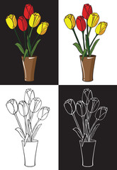  Flowers tulips in vase