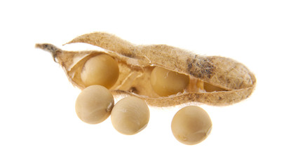 Sticker - Soybean pods