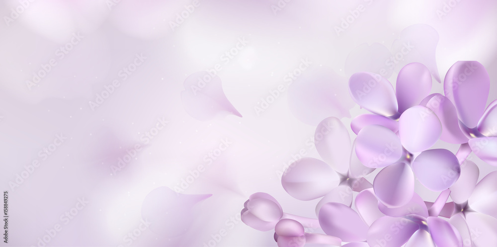 Pastel background with lilac flowers. - obrazy, fototapety, plakaty 