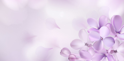 Pastel background with lilac flowers.