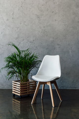 Wall Mural - Green houseplant in pot and empty white chair indoors