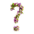 Question mark of natural meadow flowers and lilacs on a white background..