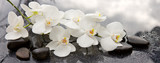 Fototapeta Kuchnia - Spa stones and white orchid on gray background.