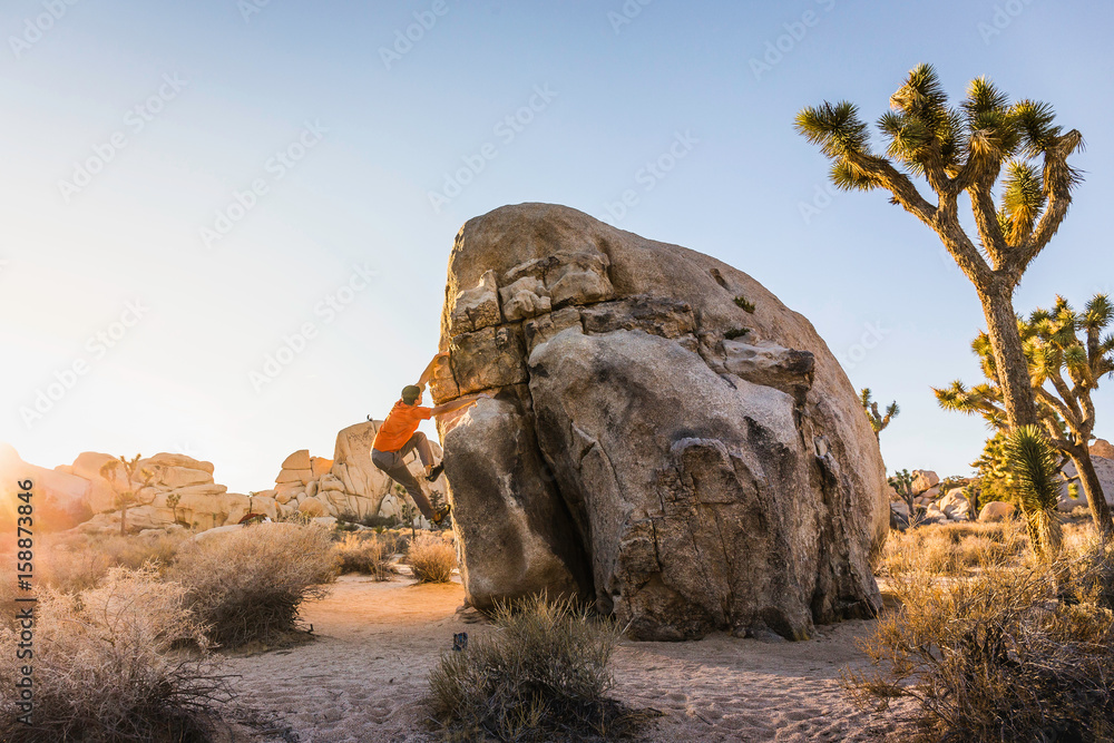 Male boulderer moving up boulder in Joshua Tree National Park at dusk ...